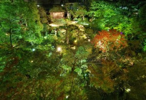 日本庭園もある宿　愛媛県／道後温泉　ふなや